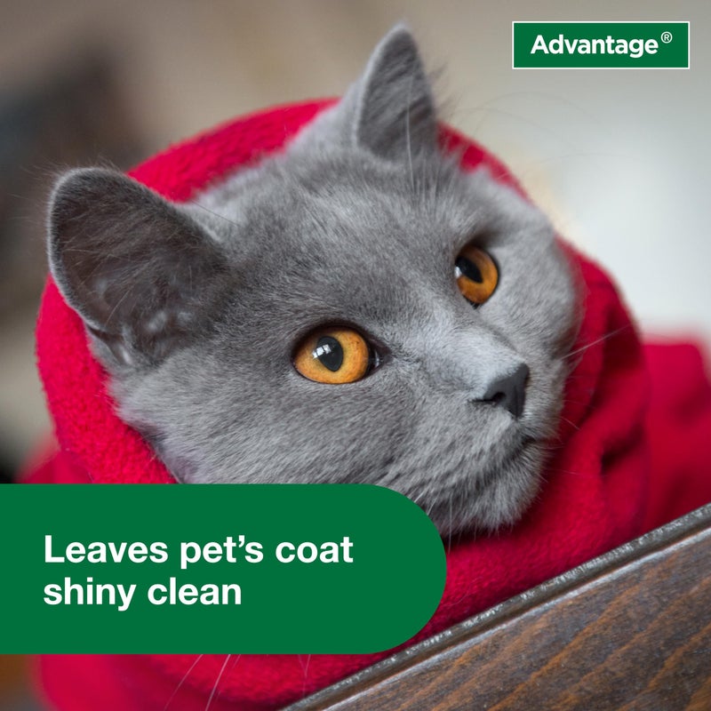 Advantage Cat Flea & Tick Shampoo for Kittens & Adult Cats | Kills Fleas & Ticks | 8 oz. - Image 5