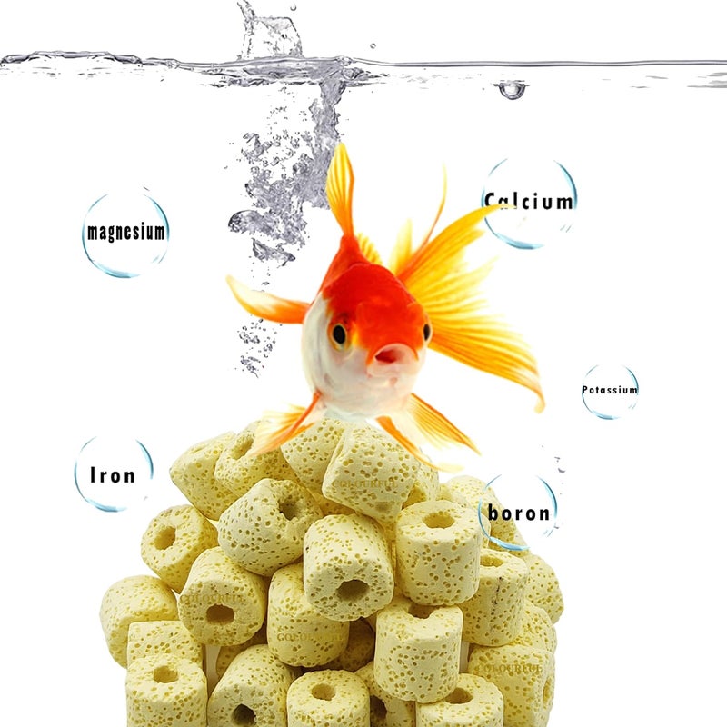 colourful - Aquarium Filter Media | Improved Water Quality and Healthy Fish Tanks (450g, Yellow Bacterial Rings) - Image 5
