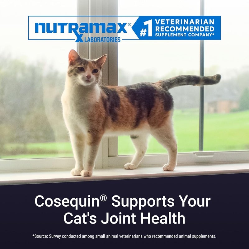 نيوتراماكس لابراتوريز مكمل صحة المفاصل Nutramax Cosequin للقطط - يحتوي على الجلوكوزامين والكوندرويتين، 30 كبسولة - Image 3