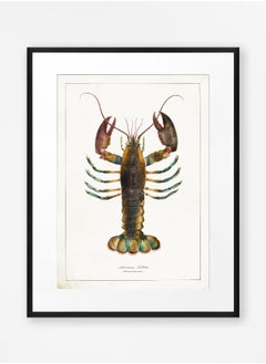 Vintage Lobster Print, Bathroom Wall Art, Sealife Wall Art, Antique Sealife Illustration, Vintage Kitchen Art