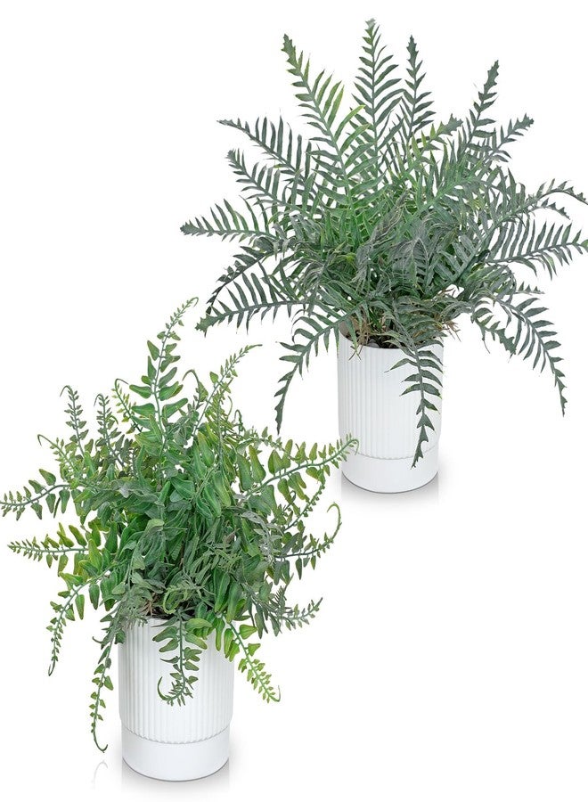 GnFlus Set of 2 Fake Plant Boston Fern Potted Artificial Plants Small Artificial Desk Plant with Potted Pots for Shelf Desk Home Bathroom Farmhouse Room Office Kitchen Farmhouse Coffee Table Decor - Image 1