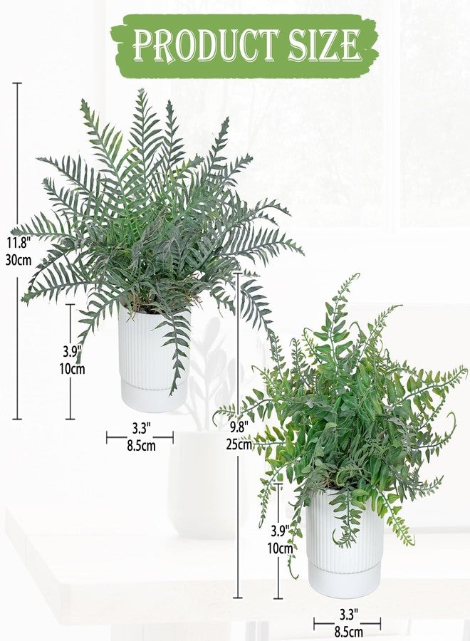GnFlus Set of 2 Fake Plant Boston Fern Potted Artificial Plants Small Artificial Desk Plant with Potted Pots for Shelf Desk Home Bathroom Farmhouse Room Office Kitchen Farmhouse Coffee Table Decor - Image 3