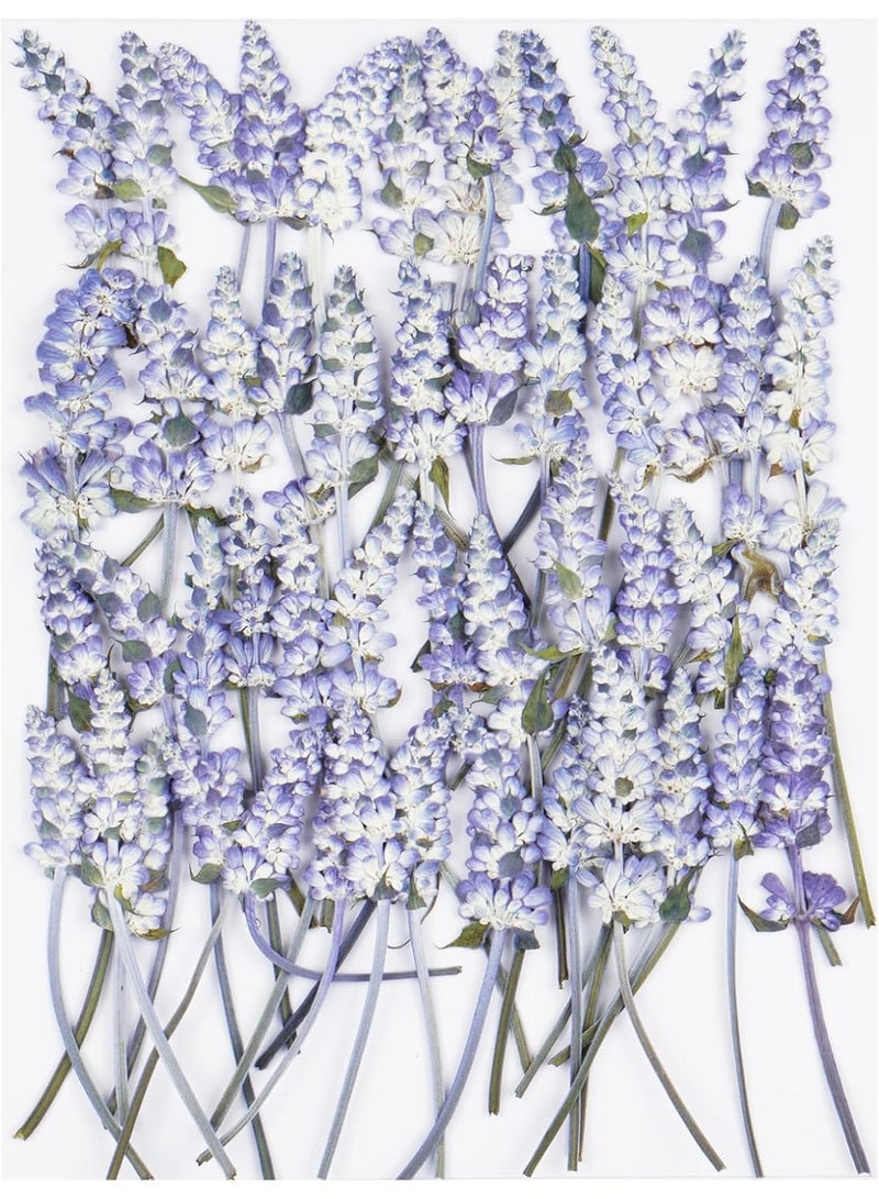 سيوسي Dried Pressed Flower Kit, Dry Flowers Craft Supplies for Resin Molds Bookmark, Wedding Invitations, Candle Making, Bulk Natural Decorations for Soaps, Frames  Cake Design (48-Piece, Purple) - Image 1