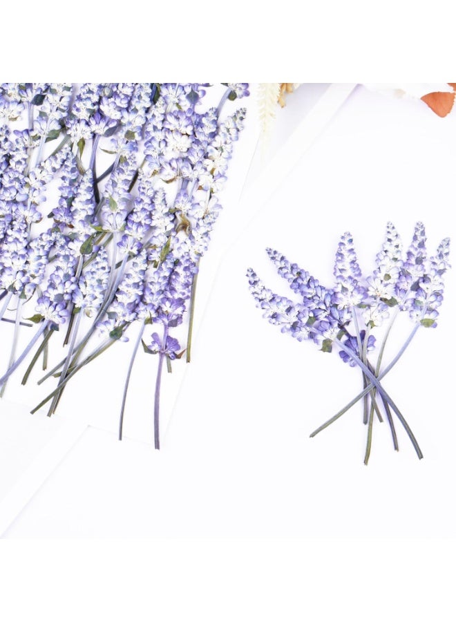 سيوسي Dried Pressed Flower Kit, Dry Flowers Craft Supplies for Resin Molds Bookmark, Wedding Invitations, Candle Making, Bulk Natural Decorations for Soaps, Frames  Cake Design (48-Piece, Purple) - Image 4