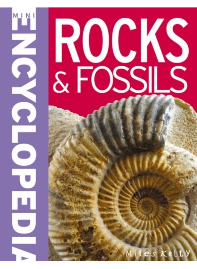 Mini Encyclopedia - Rocks & Fossils