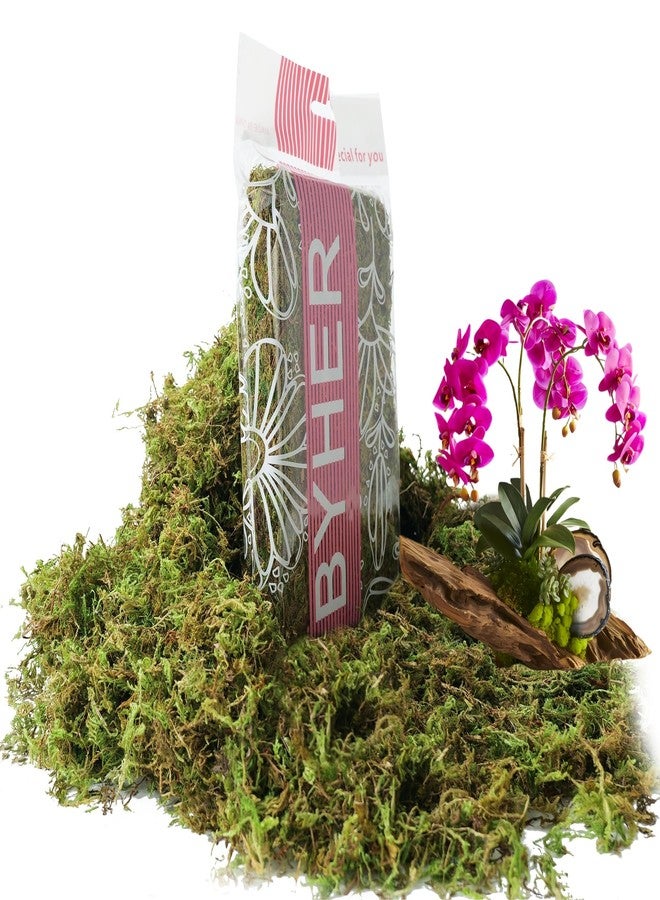 BYHER 4 OZ Fake Moss for Potted Plants, Artificial Green Moss for Crafts Faux Moss for Indoor Planters Fairy Garden Table Centerpieces Wedding Decoration (Fresh Green) - Image 1