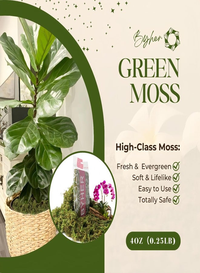 BYHER 4 OZ Fake Moss for Potted Plants, Artificial Green Moss for Crafts Faux Moss for Indoor Planters Fairy Garden Table Centerpieces Wedding Decoration (Fresh Green) - Image 2