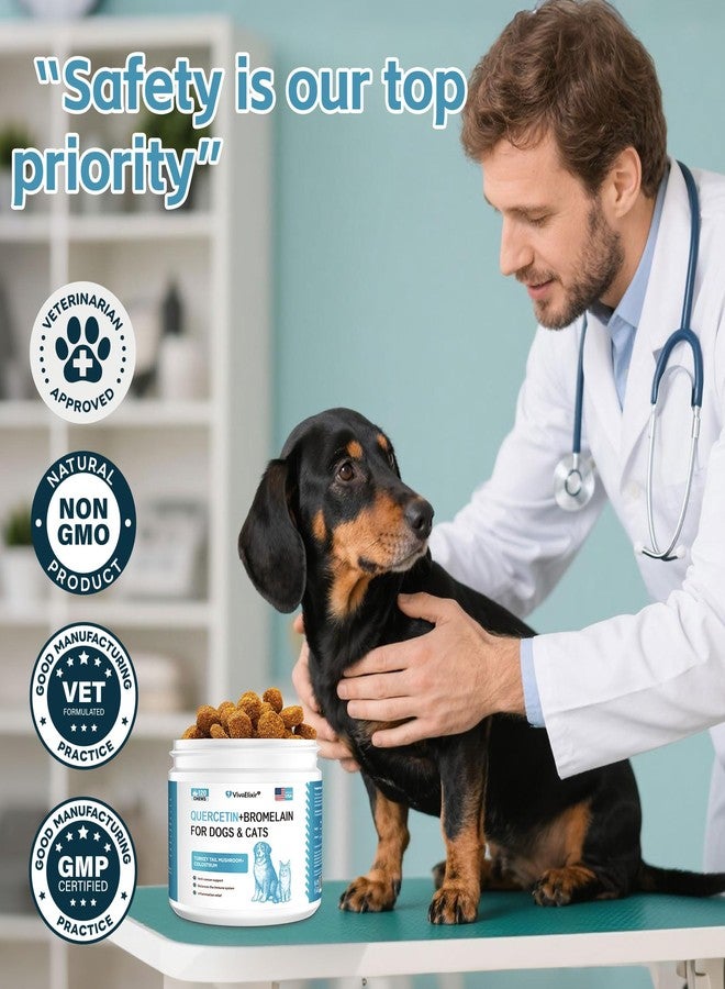 VivaElixir Relief Dog Allergy & Ear Infection — Quercetin for Dogs + Bromelain with Turkey Tail Mushroom & Probiotics — Allergy Medicine for Dogs, Itch, Skin, Hot Spot 120 Chews - Image 5
