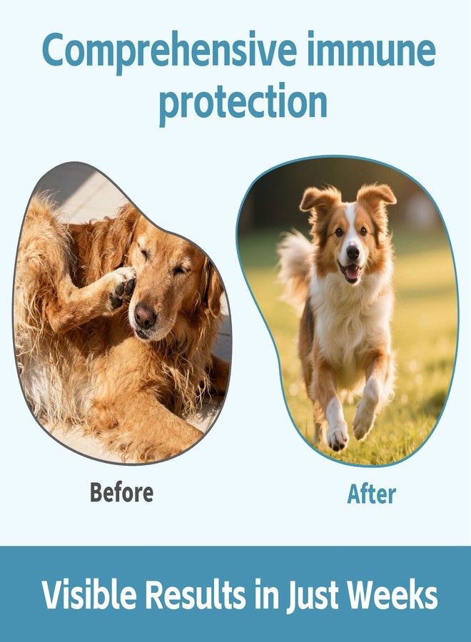 VivaElixir Relief Dog Allergy & Ear Infection — Quercetin for Dogs + Bromelain with Turkey Tail Mushroom & Probiotics — Allergy Medicine for Dogs, Itch, Skin, Hot Spot 120 Chews - Image 4