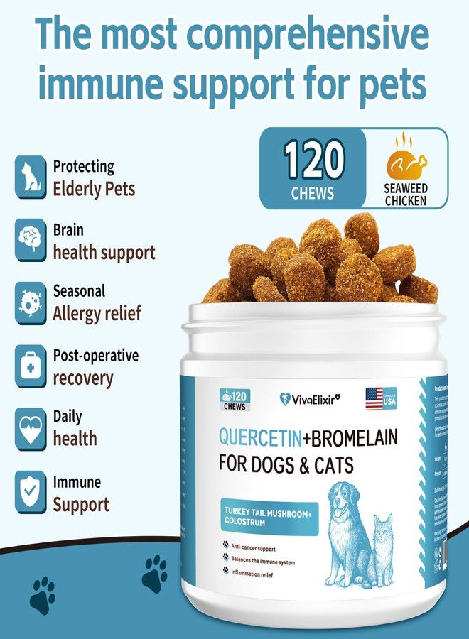 VivaElixir Relief Dog Allergy & Ear Infection — Quercetin for Dogs + Bromelain with Turkey Tail Mushroom & Probiotics — Allergy Medicine for Dogs, Itch, Skin, Hot Spot 120 Chews - Image 2
