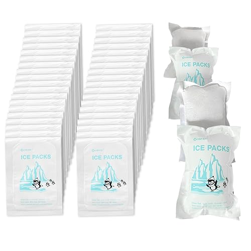WORLD-BIO WORLDBIO Dry Ice for Shipping Frozen Food Travel Long Lasting Cold Packs for Cooler 96 Packs 47 x 33 Small Freezer Packs for Shipping Bulk Reusable Dry Ice Packs Cool Pack for Shipping - Image 1
