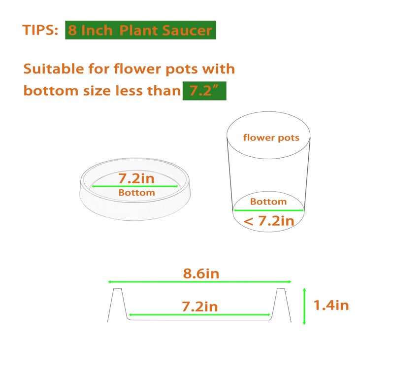 Bleuhome Plant Saucer Tray for Ceramic Plastic Pots, 8 inch Plant Saucers for Indoors, Pot Saucers Trays, Bird Bath Bowls, Flower Planter Water Drip Trays for Pots Base (8", White) - Image 2