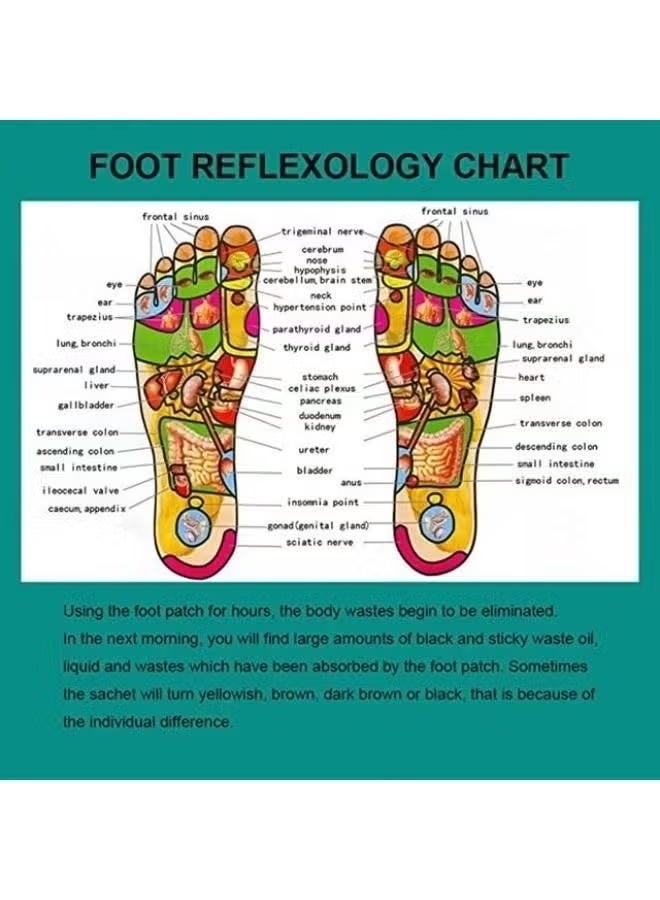 كينوكي قطعتان من ضمادات كينوكي لتنظيف القدم وإزالة السموم، 20 ضمادة - Image 3