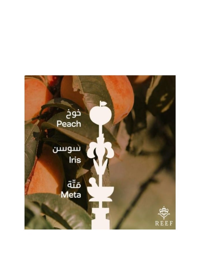 ريف ريف بيسكا الجديد 200 مل  - Image 4