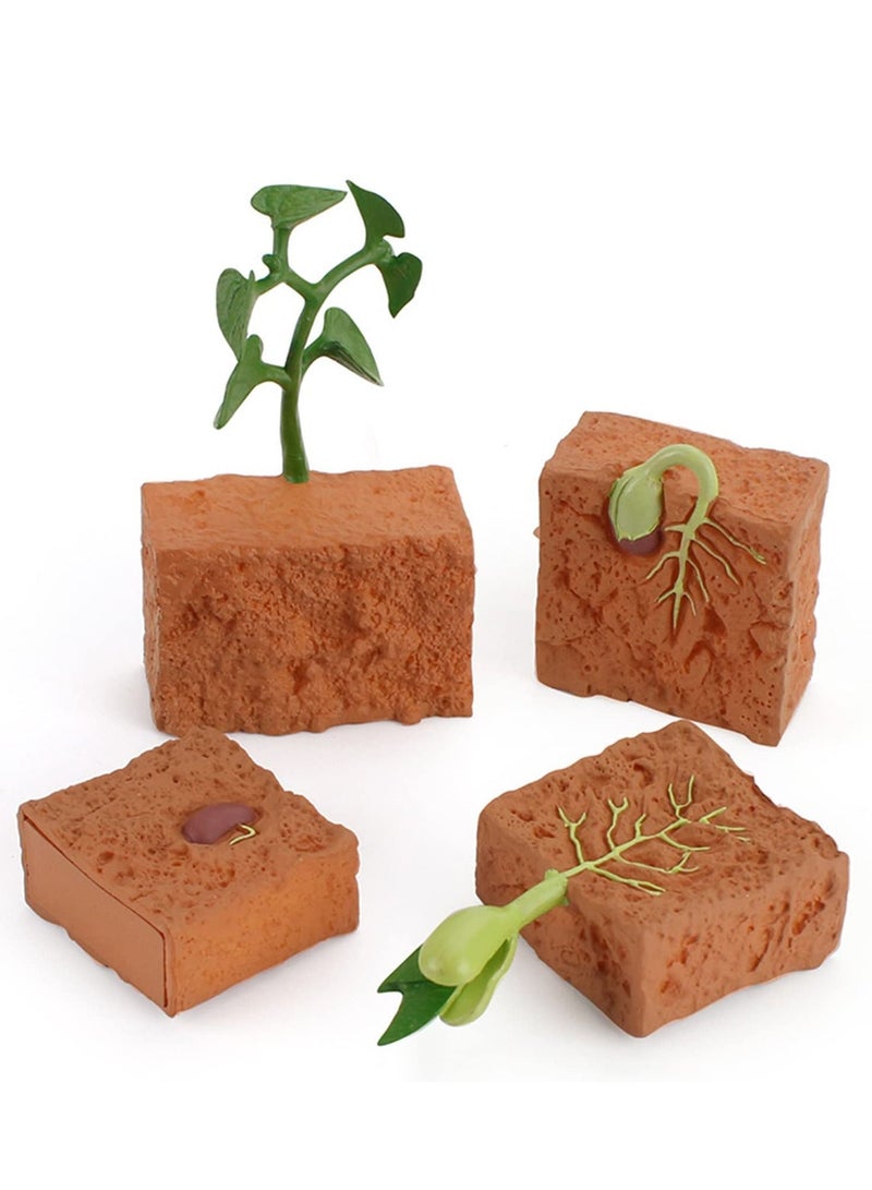NIBEMINENT 4 Pieces Plant Model Children's Educational Toy Set Life Cycle Theme Growth Education - Image 1