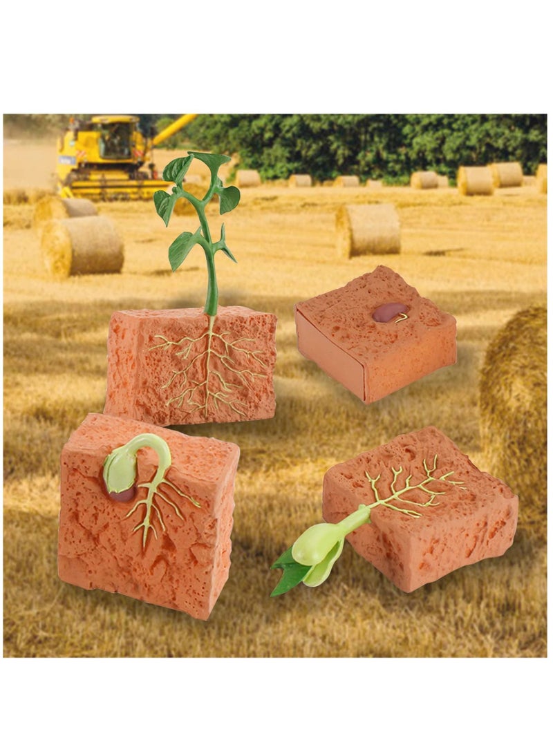 NIBEMINENT 4 Pieces Plant Model Children's Educational Toy Set Life Cycle Theme Growth Education - Image 3