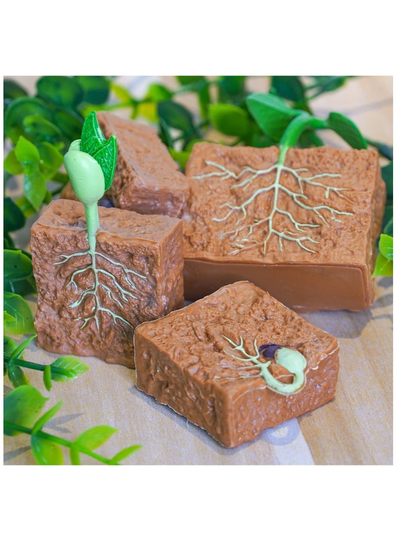 NIBEMINENT 4 Pieces Plant Model Children's Educational Toy Set Life Cycle Theme Growth Education - Image 4