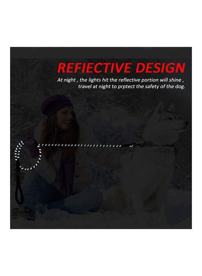 NIBEMINENT Strong Dog Leash Thick Durable Nylon Rope Tangle-Free Highly Reflective Threads For Small, Medium And Large Pets orange 25.00 x 2.00 8.00cm - Image 5