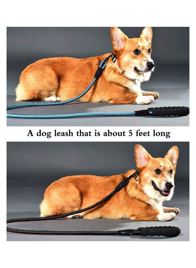 NIBEMINENT Strong Dog Leash Thick Durable Nylon Rope Tangle-Free Highly Reflective Threads For Small, Medium And Large Pets orange 25.00 x 2.00 8.00cm - Image 2