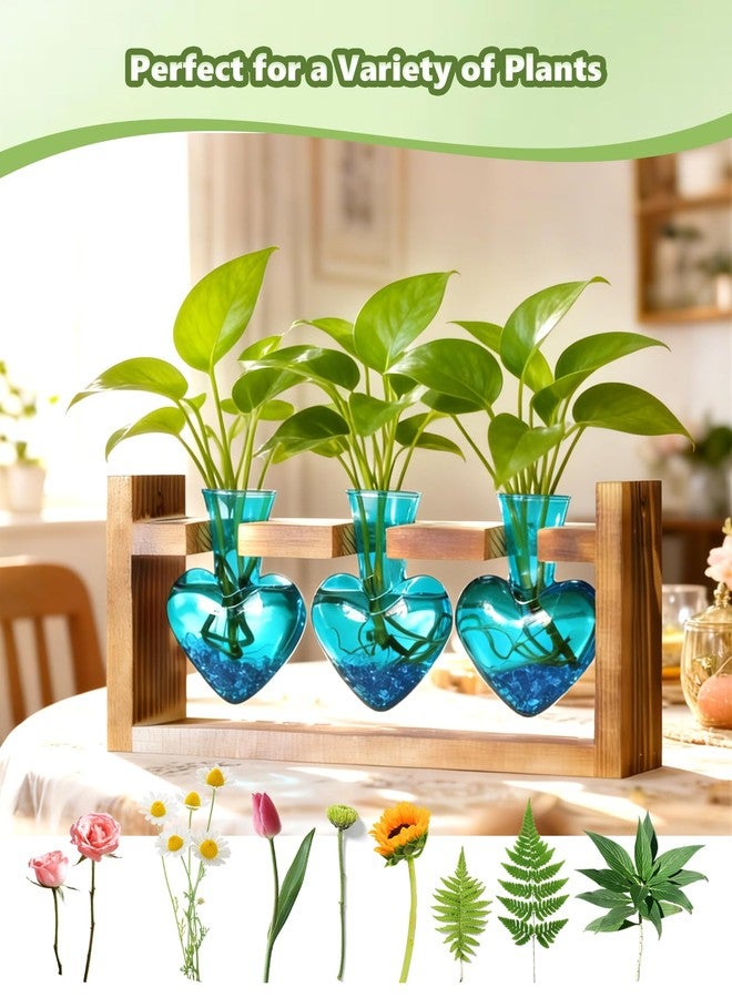 Nacome Plant Terrarium Propagation Stations: Valentines Day Gifts for Her Plant Lovers Women Mom Wife Daughter - 3 Bulb Glass Vase with Wooden Stand Tabletop for Hydroponics Indoor Office Home Decor - Image 2