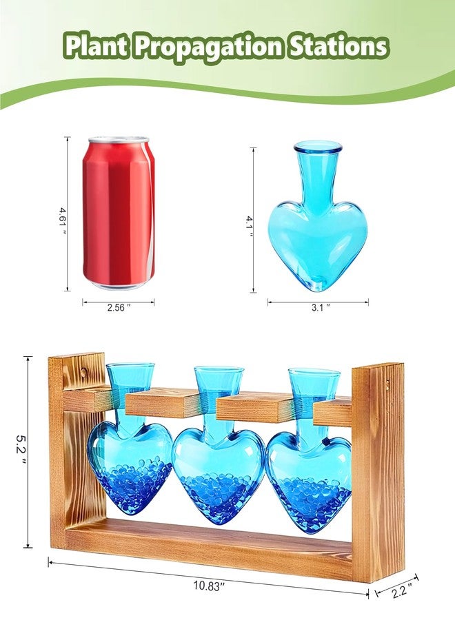 Nacome Plant Terrarium Propagation Stations: Valentines Day Gifts for Her Plant Lovers Women Mom Wife Daughter - 3 Bulb Glass Vase with Wooden Stand Tabletop for Hydroponics Indoor Office Home Decor - Image 5