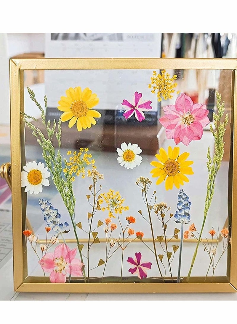 KASTWAVE 72 PCS Real Dried Pressed Flowers, Art Natural Dried Flower Leaf Plant Herbarium for Making Jewelry Nail Scrapbooking DIY Candle Decoration Resin Jewelry... - Image 5