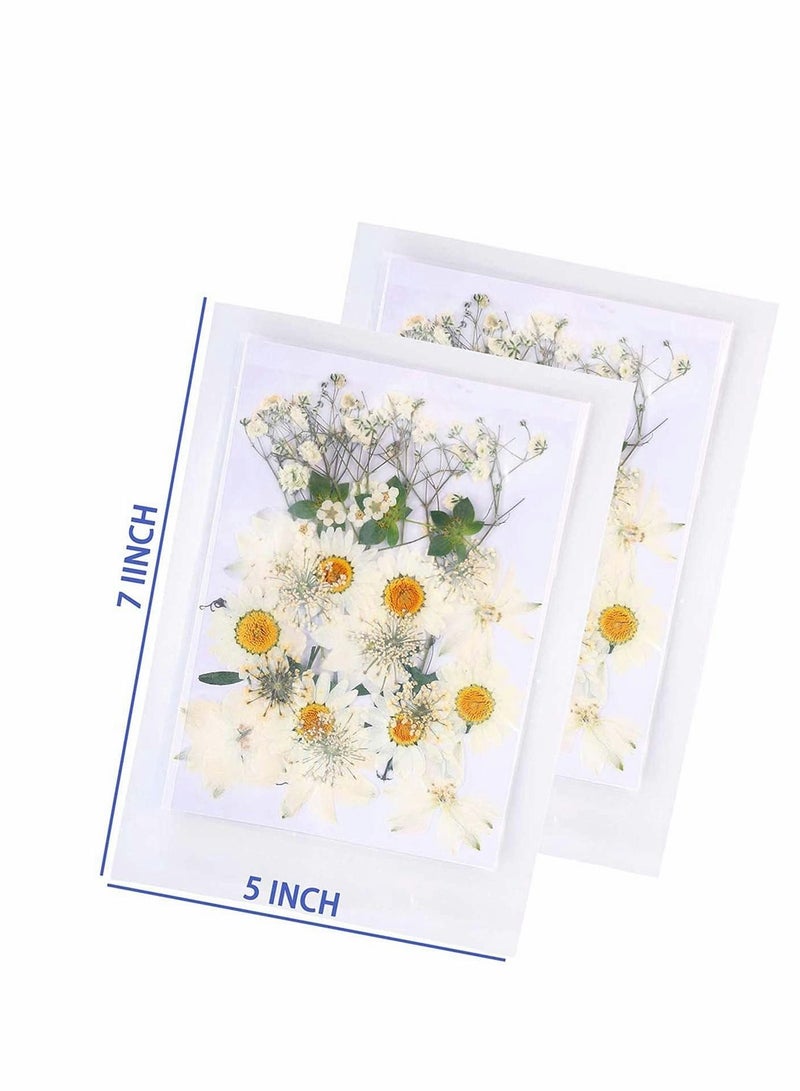 KASTWAVE 72 PCS Real Dried Pressed Flowers, Art Natural Dried Flower Leaf Plant Herbarium for Making Jewelry Nail Scrapbooking DIY Candle Decoration Resin Jewelry... - Image 3