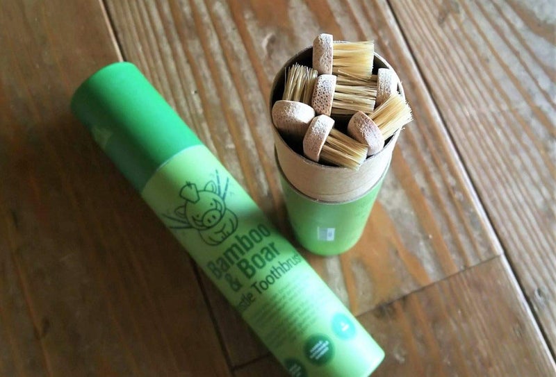 غايا غاي Natural Bristle Bamboo Toothbrush (NO Nylon - Boar Hair ONLY) - Totally Compostable u0026 Biodegradable Boar Bristle and Bamboo Toothbrushes - Zero Waste - 6-Pack - Image 5