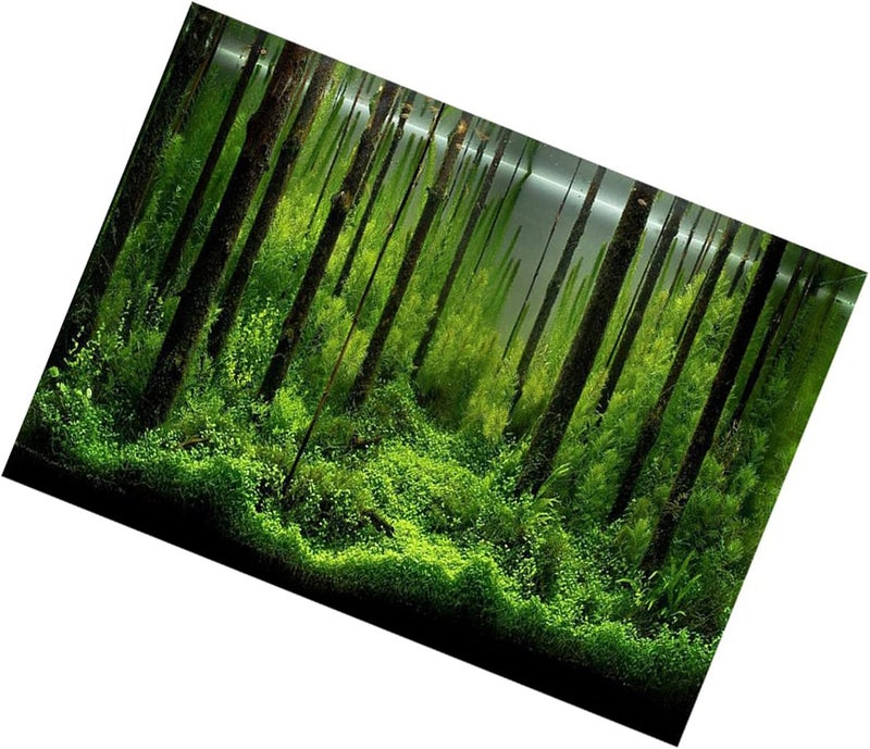 Aquarium Poster Adhesive Underwater Forest Aquarium Colorful Aquarium Decoration Poster Background Poster Background Decoration Paper for Home Aquarium 1 Piece (91 * 50cm) - Image 4