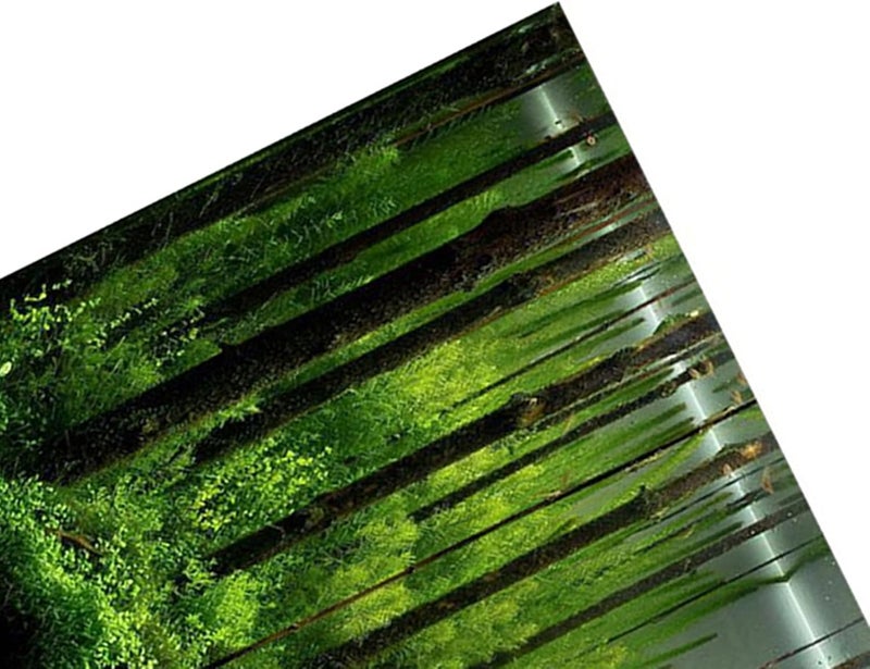Aquarium Poster Adhesive Underwater Forest Aquarium Colorful Aquarium Decoration Poster Background Poster Background Decoration Paper for Home Aquarium 1 Piece (91 * 50cm) - Image 5