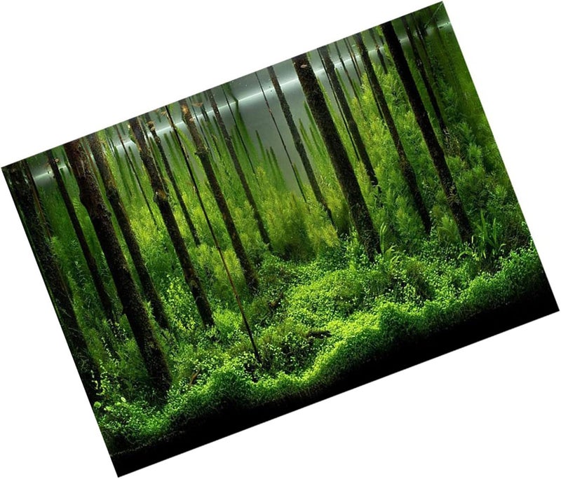 Aquarium Poster Adhesive Underwater Forest Aquarium Colorful Aquarium Decoration Poster Background Poster Background Decoration Paper for Home Aquarium 1 Piece (91 * 50cm) - Image 2