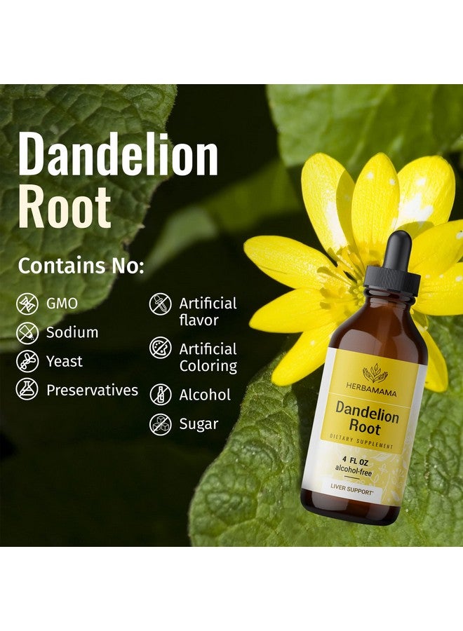 HERBAMAMA Dandelion Root Tincture Organic Dandelion Liquid Drops Dandelion Root Liquid Extract Supplements 4 Fl Oz - Image 5