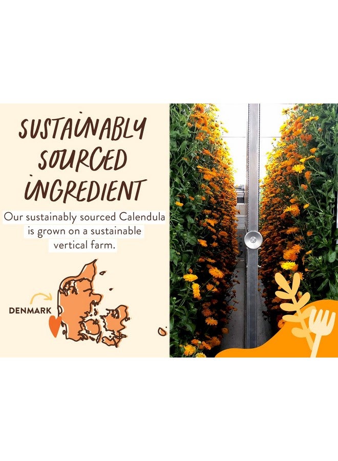 بابو بوتانيكالز شامبو وغسول مرطب 2 في 1 من بابو بوتانيكالز بالشوفان والآذريون - للبشرة الجافة أو الحساسة - لجميع الأعمار - معطر قليلاً - نباتي - 16 أونصة سائلة - Image 3