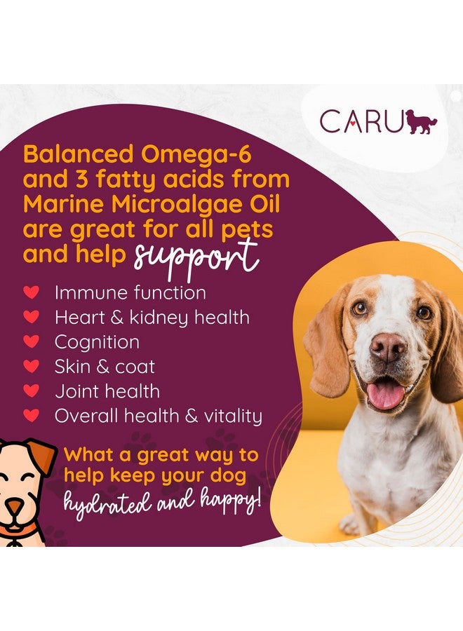 كارو - أطباق اليخنة اليومية - طعام كلاب رطب صحي وعملي أو عبوة متنوعة من إضافات الطعام - لحم بقري، دجاج، ديك رومي، لحم بقري مع دجاج، ديك رومي مع سلمون، ديك رومي مع لحم ضأن - علب كرتون 12 أونصة - عبوة من 6 قطع - Image 2