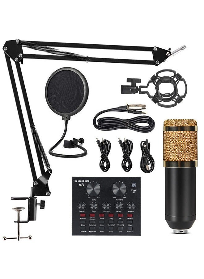 V8 live sound card set, mini mixer board portable audio mixer voice changer sound card supports mobile phones tablets laptops with adjustable volume for music recording karaoke singing broadcast