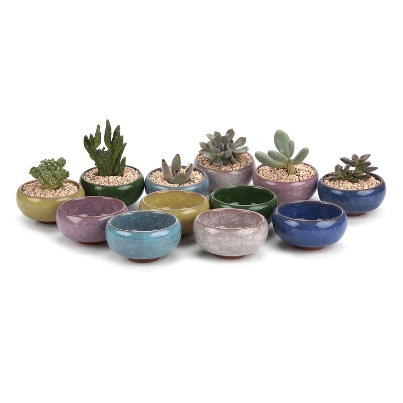 T4U 2.5 Inch Small Ceramic Succulent Planter Pot with Drainage Hole Set of 12, Ice Crack Glaze Plant Container for Cactus, Plant Lover Gifts for Women Mom Aunt Home Office Decor - Image 1