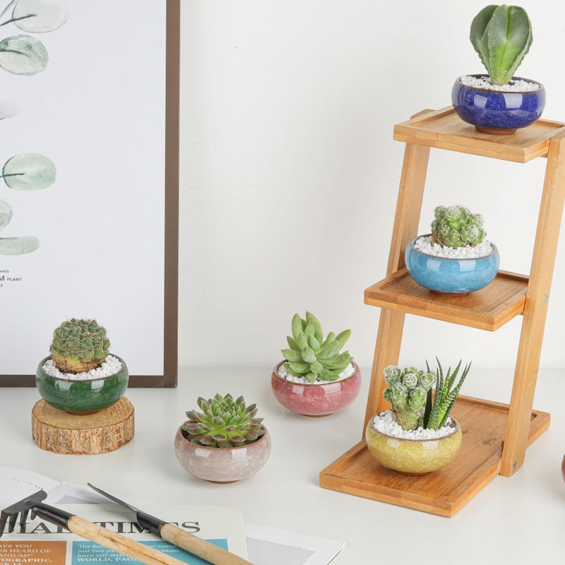 T4U 2.5 Inch Small Ceramic Succulent Planter Pot with Drainage Hole Set of 12, Ice Crack Glaze Plant Container for Cactus, Plant Lover Gifts for Women Mom Aunt Home Office Decor - Image 5