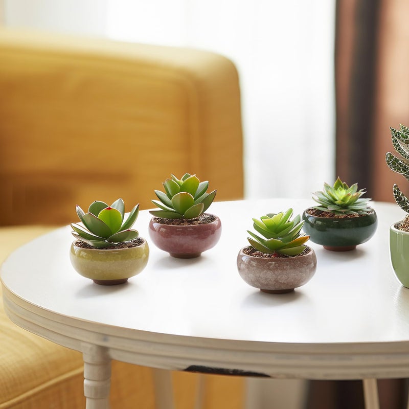 T4U 2.5 Inch Small Ceramic Succulent Planter Pot with Drainage Hole Set of 12, Ice Crack Glaze Plant Container for Cactus, Plant Lover Gifts for Women Mom Aunt Home Office Decor - Image 4