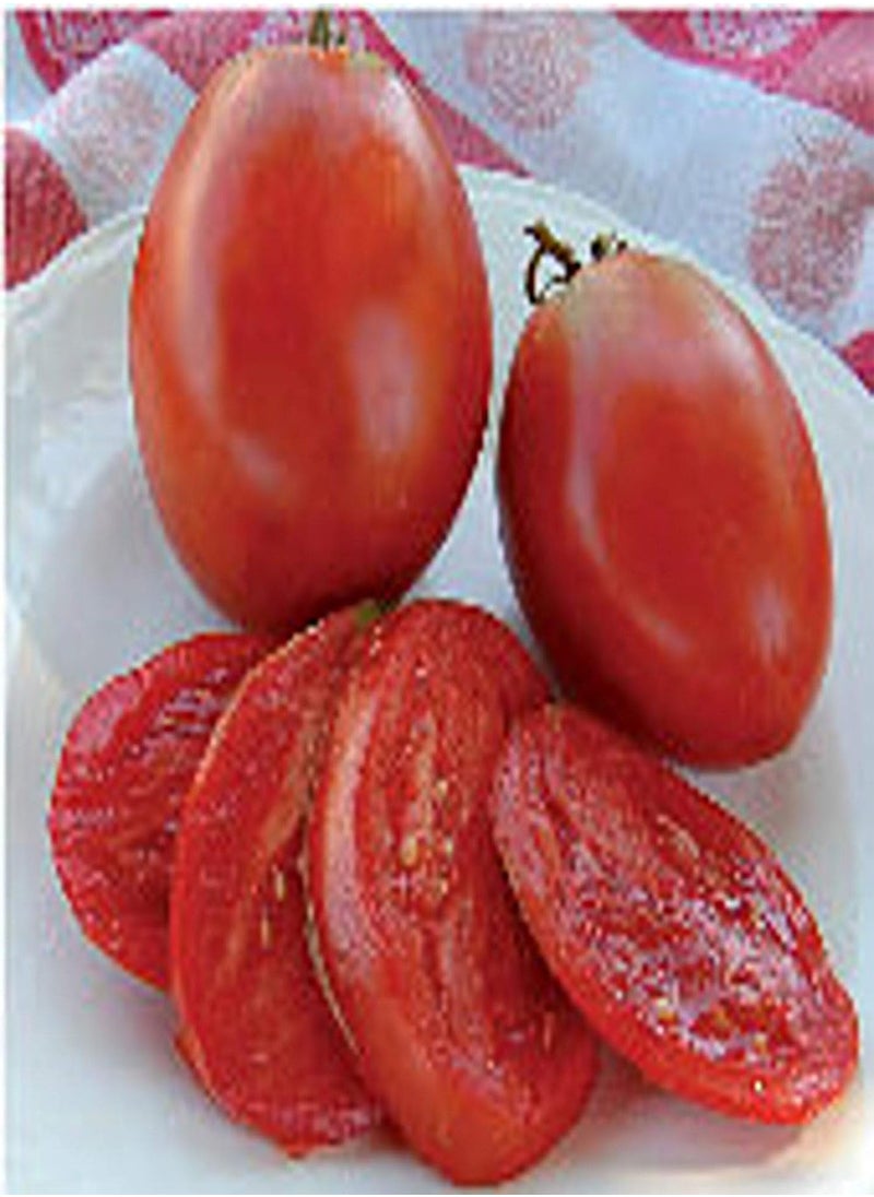 GGOOT Amish Paste Tomato Seeds (25+ Seeds)(More Heirloom Organic Non GMO Vegetable Fruit Herb Flower Garden Seeds (25+ Seeds) at ) 