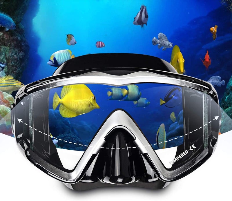 EXP VISION Schnorchelset Schnorchelausrstung fr Erwachsene, Professionelle Anti-Beschlag-Schnorchelmaske, Trockenschnorchel Tauchmaske fr Freitauchen,Schnorcheln,Schwimmen - Image 2