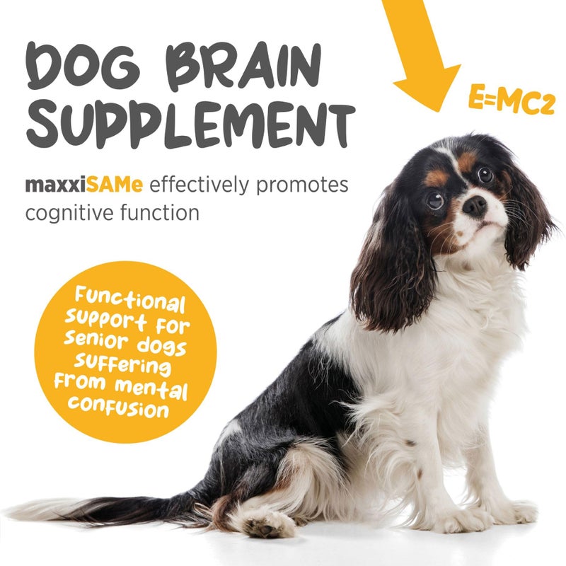 maxxipaws maxxiSAMe Advanced SAM-e Powder Supplement - Liver, Cognitive & Joint Support for Dogs, 5.3oz - Image 3