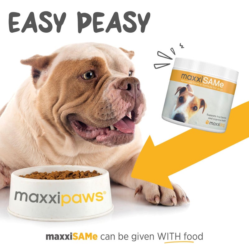 maxxipaws maxxiSAMe Advanced SAM-e Powder Supplement - Liver, Cognitive & Joint Support for Dogs, 5.3oz - Image 5