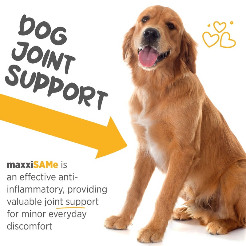 maxxipaws maxxiSAMe Advanced SAM-e Powder Supplement - Liver, Cognitive & Joint Support for Dogs, 5.3oz - Image 4