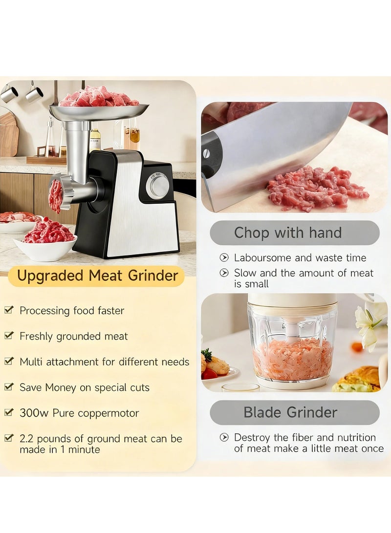 EVEREEN 10-in-1 Electric Vegetable Slicer, Cheese Grater & Meat Grinder, 300W Food Processor with Interchangeable Blades, Wide Feeding Chute, One-Touch Control for Home Kitchen - Image 2