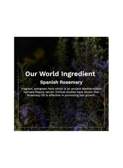 PILGRIM Spanish Rosemary And Biotin Hair Growth Oil to Control Hair Fall And Strengthens Hair 100ml  - Image 4