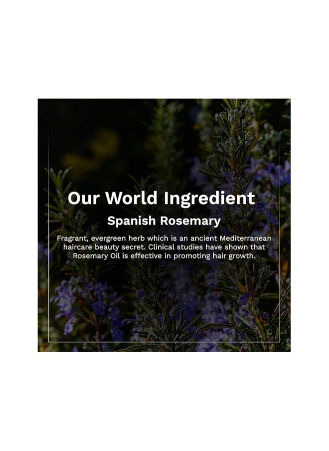 PILGRIM Spanish Rosemary And Biotin Hair Growth Oil to Control Hair Fall And Strengthens Hair 100ml  - Image 4