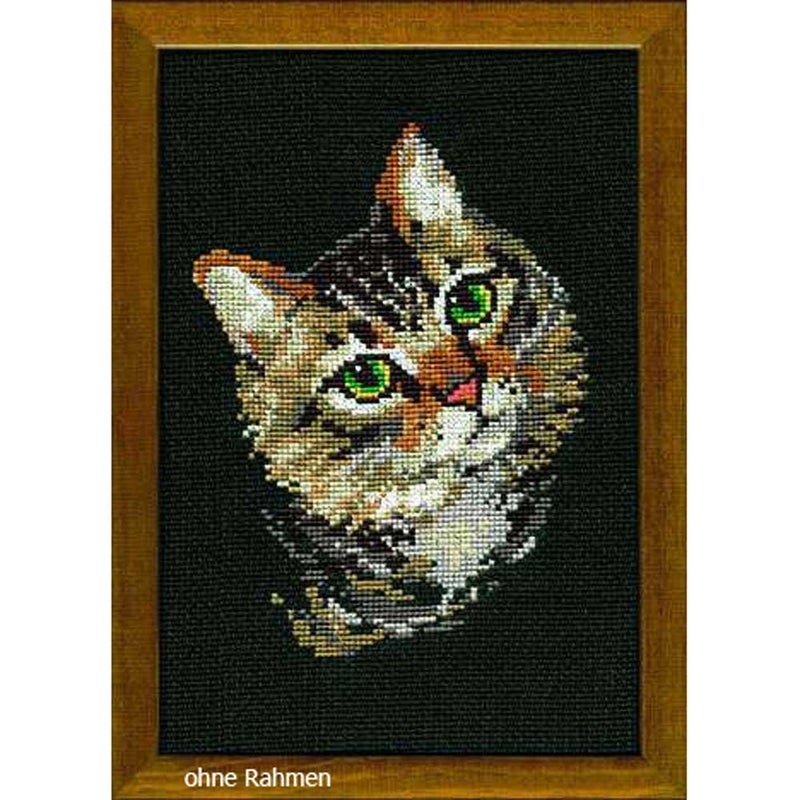 RIOLIS Cross Stitch Kit  766  Colourful