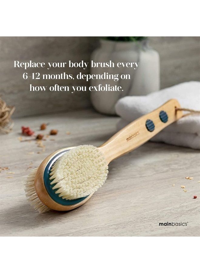 MainBasics Back Scrubber for Shower Long Handle Back Brush Dual-Sided with Exfoliating and Soft Bristles - Image 3