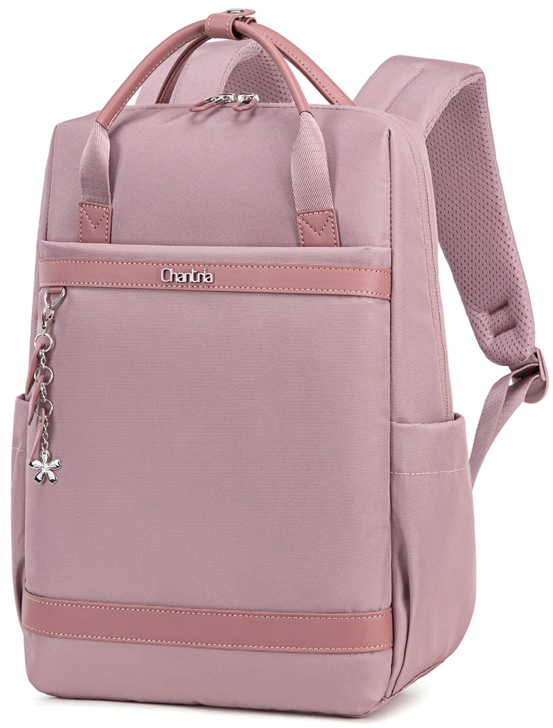 Chantria Premium Lightweight Laptop backpack for Women Water Resistant Multifunctional Anti-Theft Daypack with Separate Laptop Compartment, CB00639, Pale Mauve