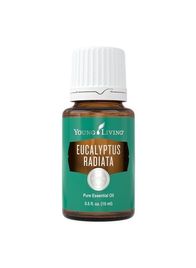 Young Living Eucalyptus Radiata Essential Oil 15ml - Pure & Refreshing Aromatherapy - Clear Your Senses - Certified Quality for Holistic Well-Being & Natural Wellness Journey  - Image 1